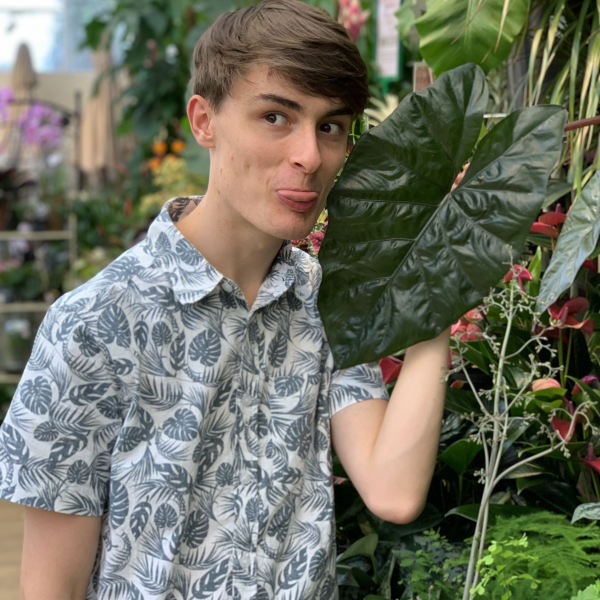 Joe Bagley on Direct.me