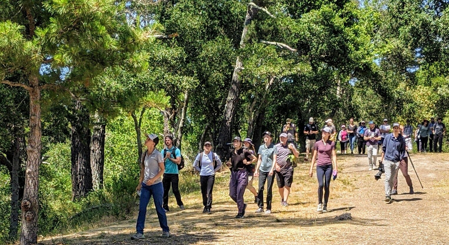 Womens Disc Golf Tournament 2023 Lansing Pear Top Of The World View: Appreciating The Volunteers And Following The Lead Women - Ultiworld Disc Golf