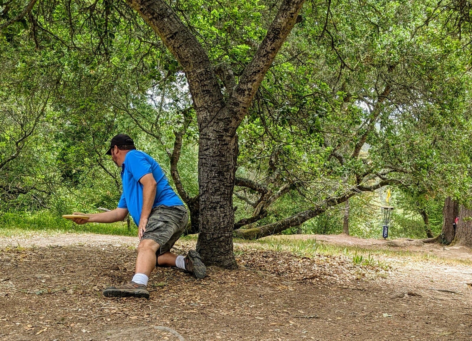 Womens Disc Golf Tournament 2023 Lansing Pear Top Of The World View: Appreciating The Volunteers And Following The Lead Women - Ultiworld Disc Golf