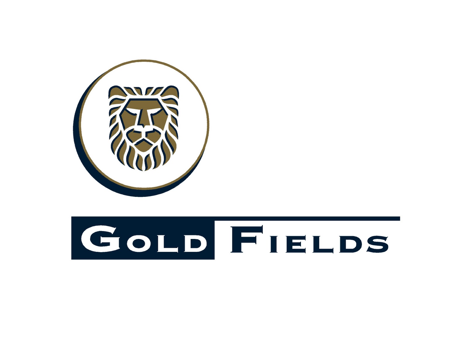Gold Fields Ltd (GFI) Dividends