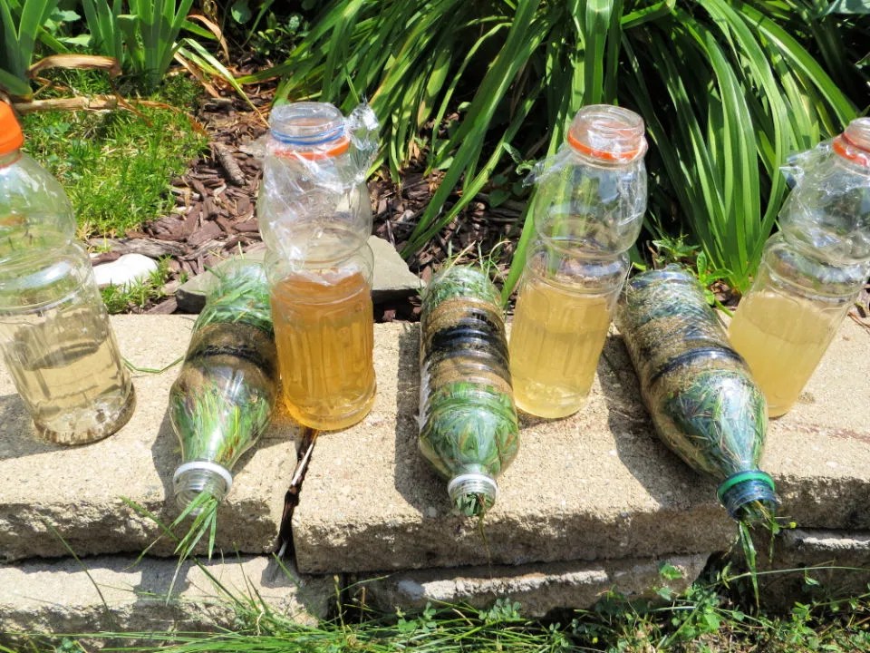 25 DIY Water Filter Systems You Can Make at Home