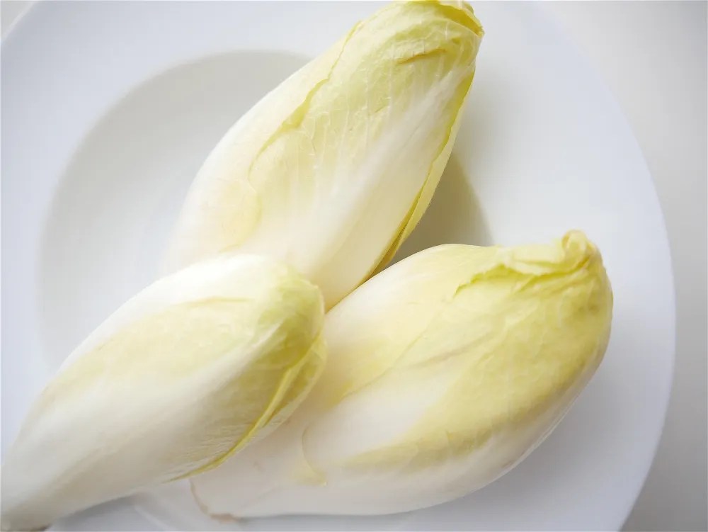 Chicory