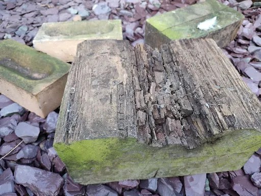 How to Make a Wildlife Barrel Pond for Under £100