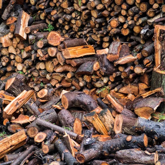 How to Stack Firewood for Seasoning