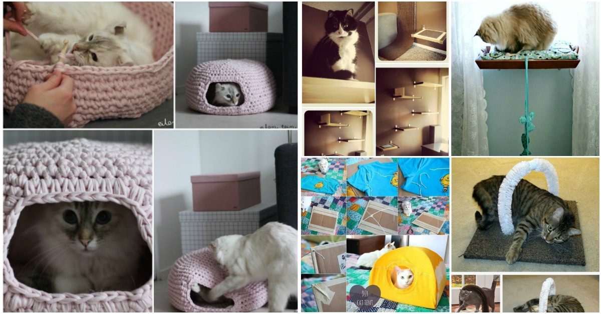 20 Purrfect DIY Projects for Cat Owners DIY & Crafts