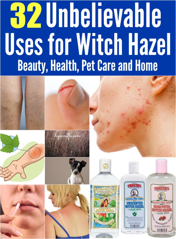 Can You Use Witch Hazel On Dogs Octopussgardencafe