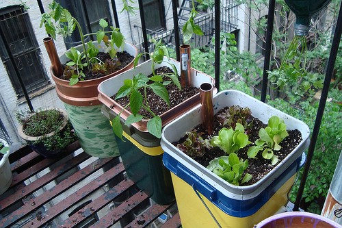 15 DIY Self Watering Planters That Make Container Gardening Easy DIY