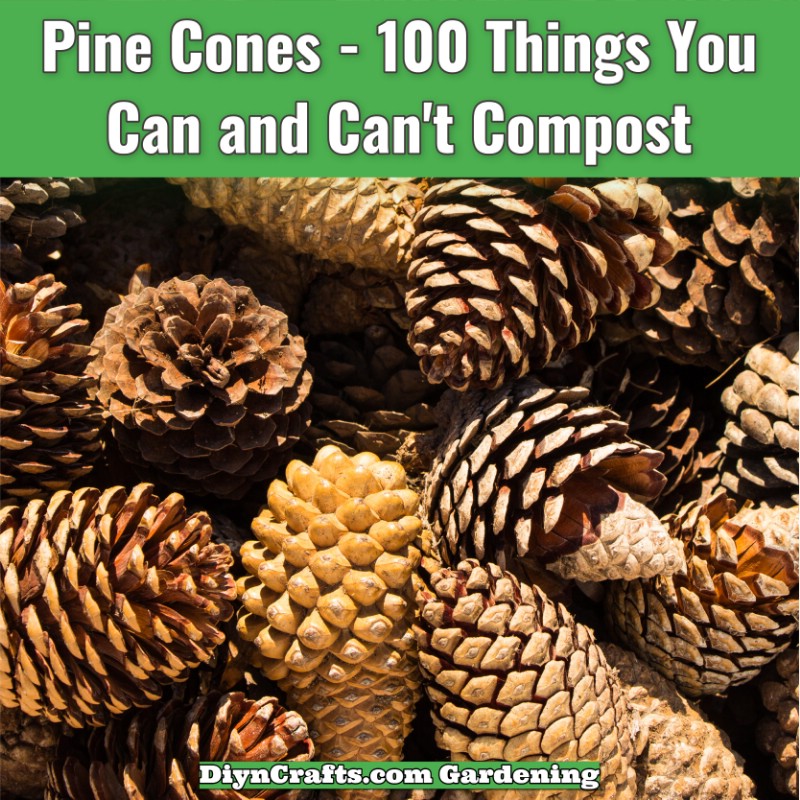 Ultimate Composting List 100 Things You Can and Can't Compost