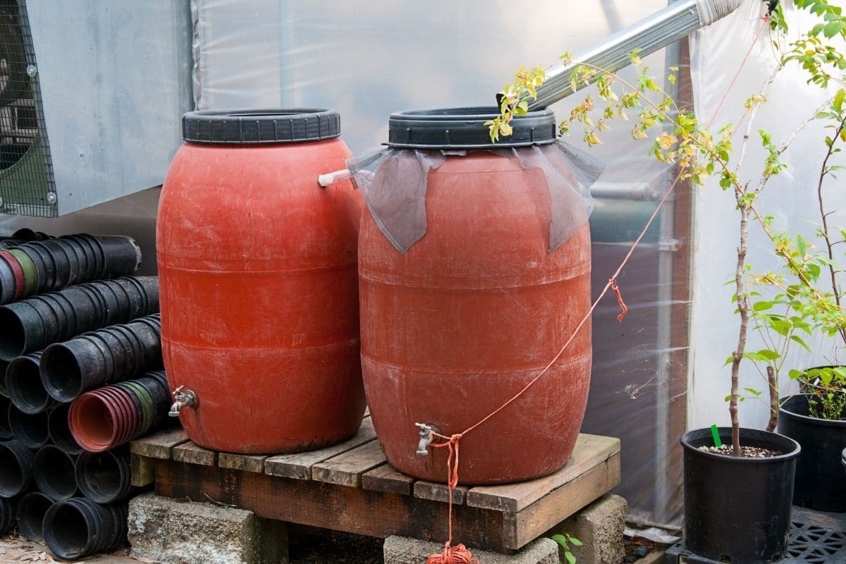 5 Simple Tips for How to Build a Rain Barrel for Your Garden lineupmag