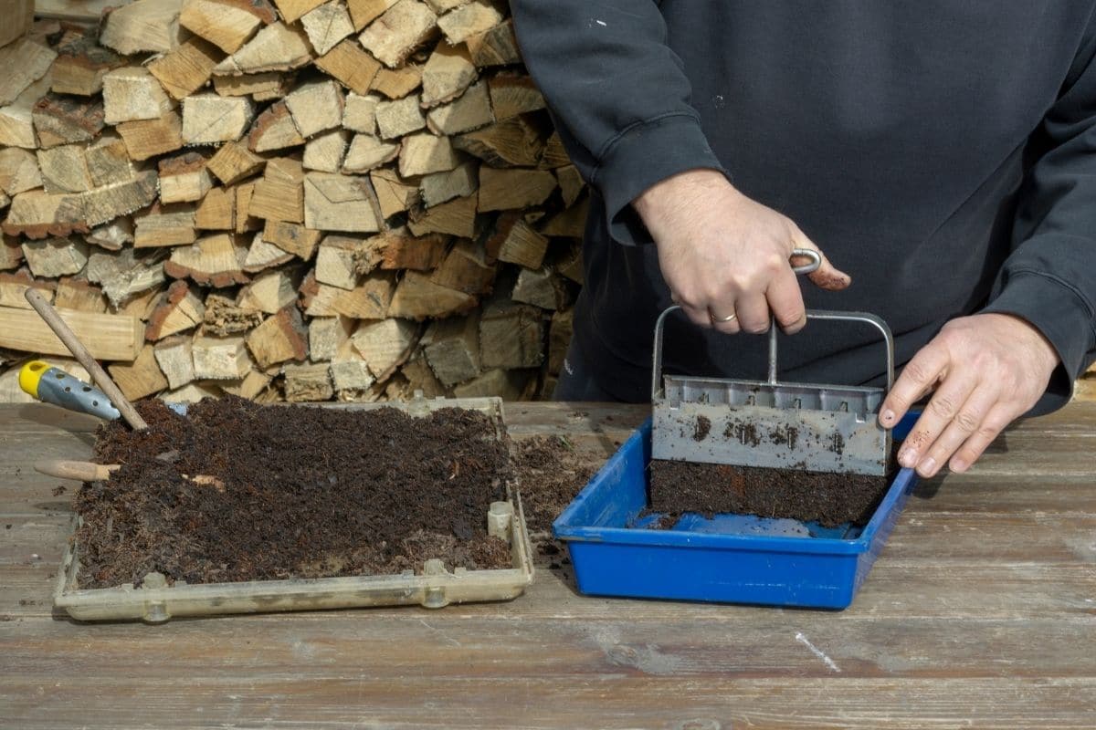 How to Do Proper Soil Blocking for Indoor Seedlings