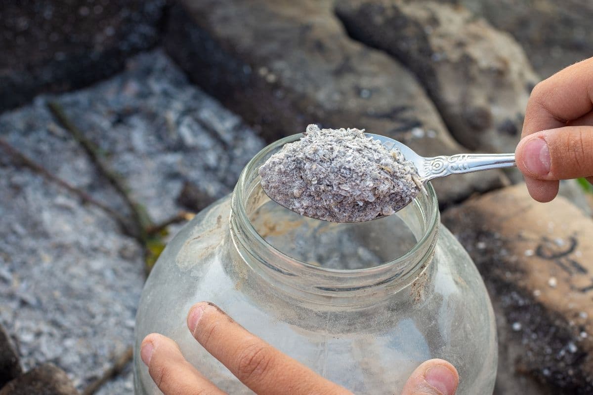 5 Ways To Use Wood Ash In The Garden + How to Store it DIY & Crafts