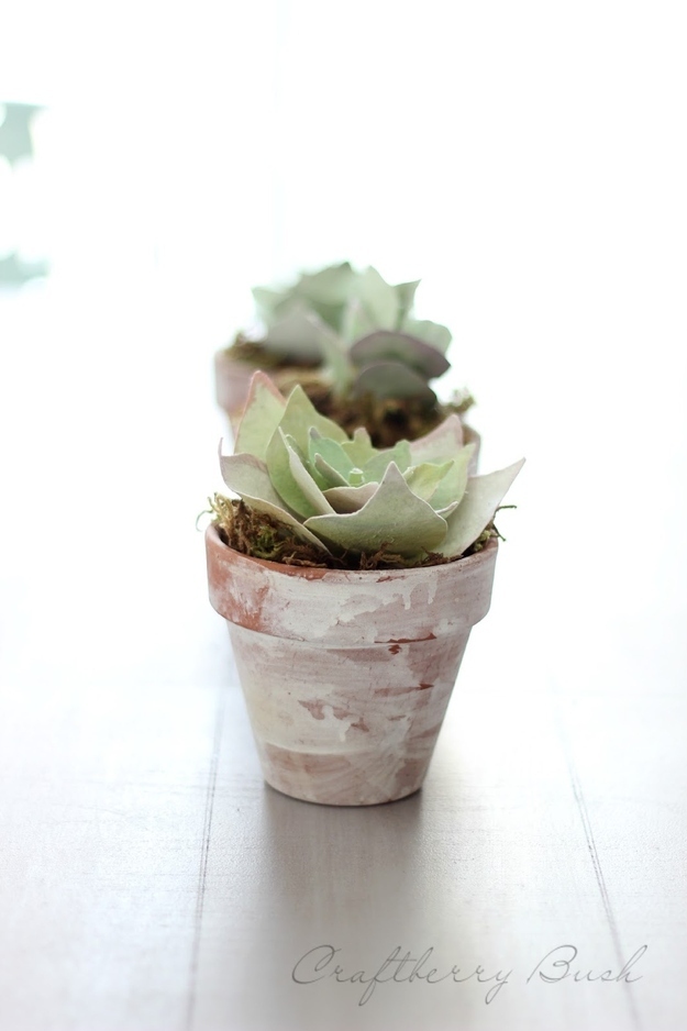 15 DIY Faux Plant Projects that will Live Forever