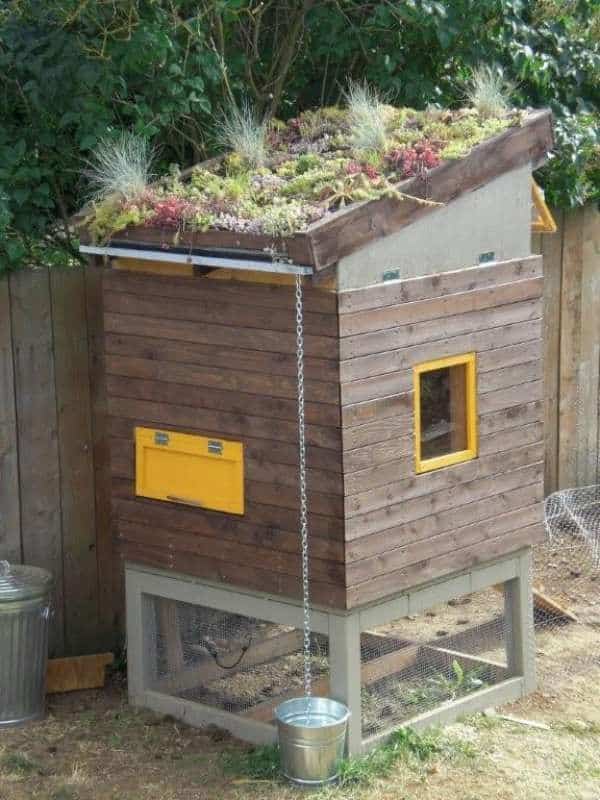 These 15 DIY Chicken Coops Are Perfect For Your Backyard