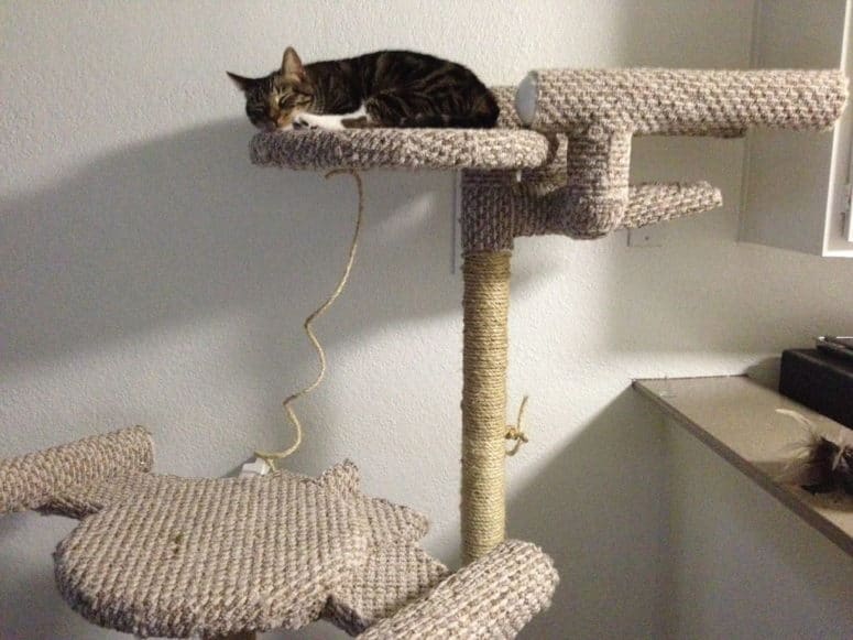 15 DIY Cat Trees How To Build A Cat Tower