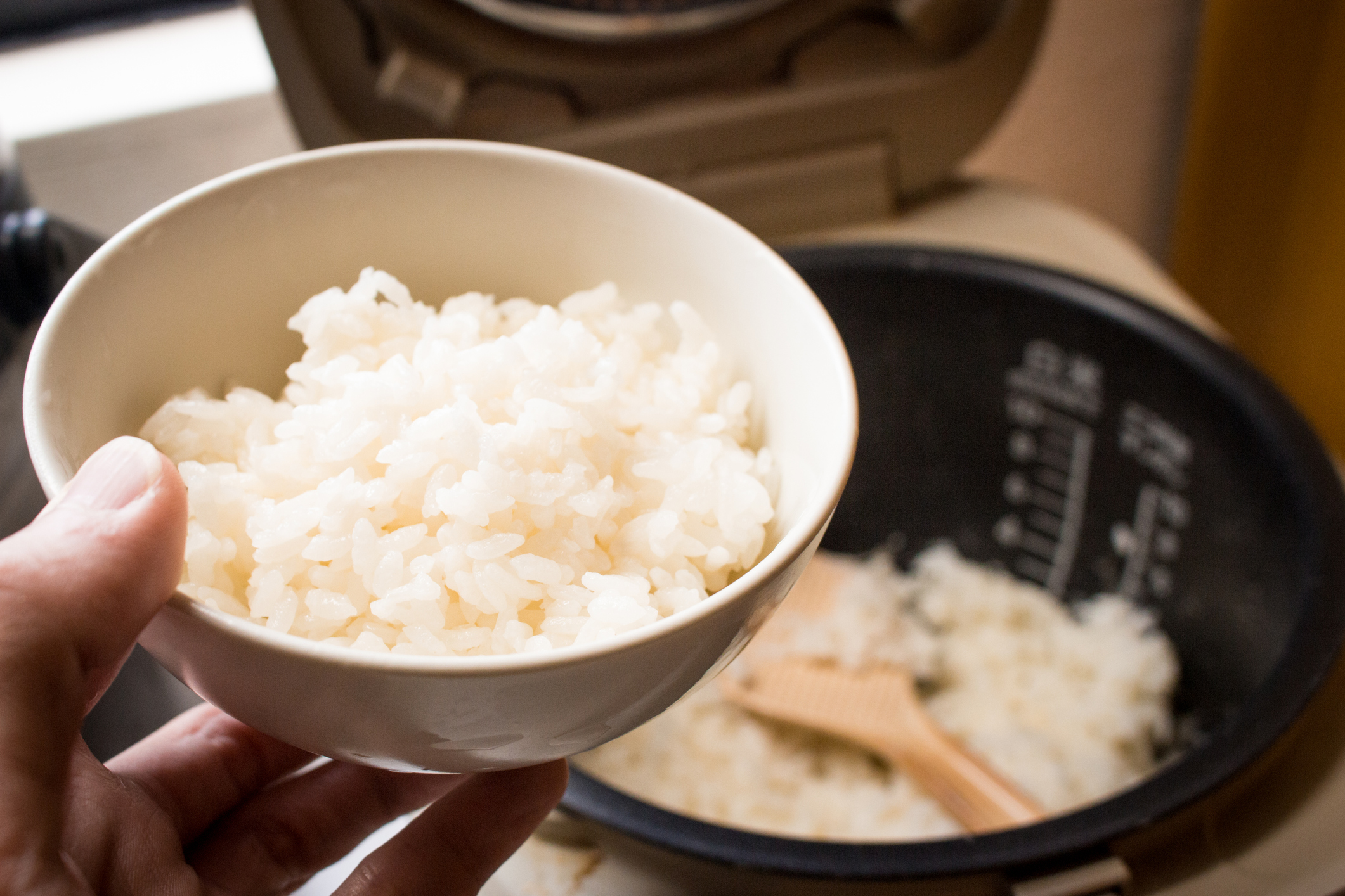 9 Best Rice Cookers Reviews and Buying Guide