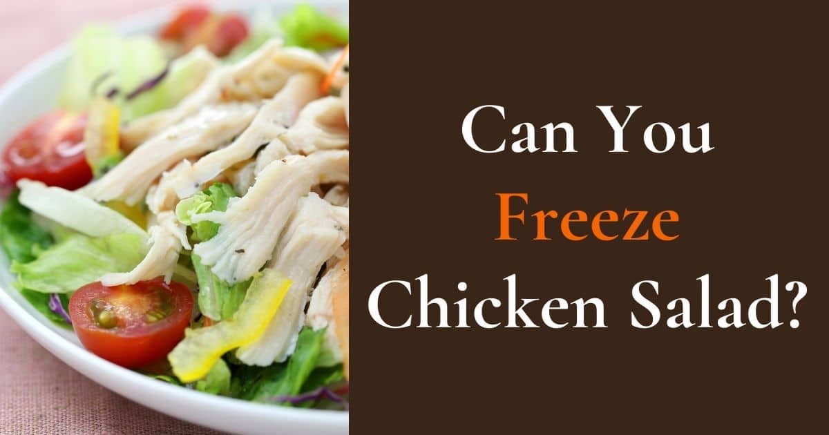 Can You Freeze Chicken Salad? Yes, If Done Properly
