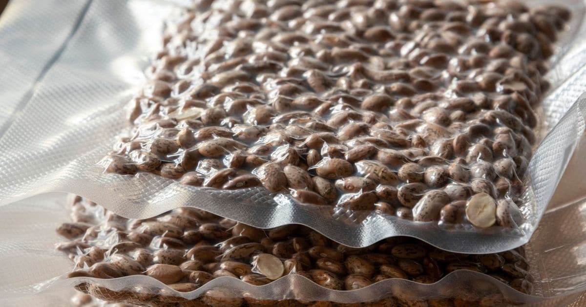 Can You Freeze Pinto Beans? Yes, But You Need to Get It Right