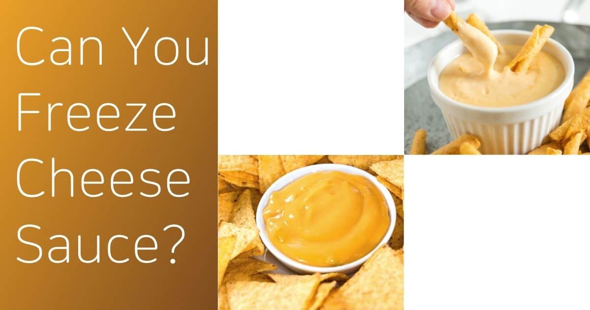 Can You Freeze Cheese Sauce? Yes You Can. Learn How