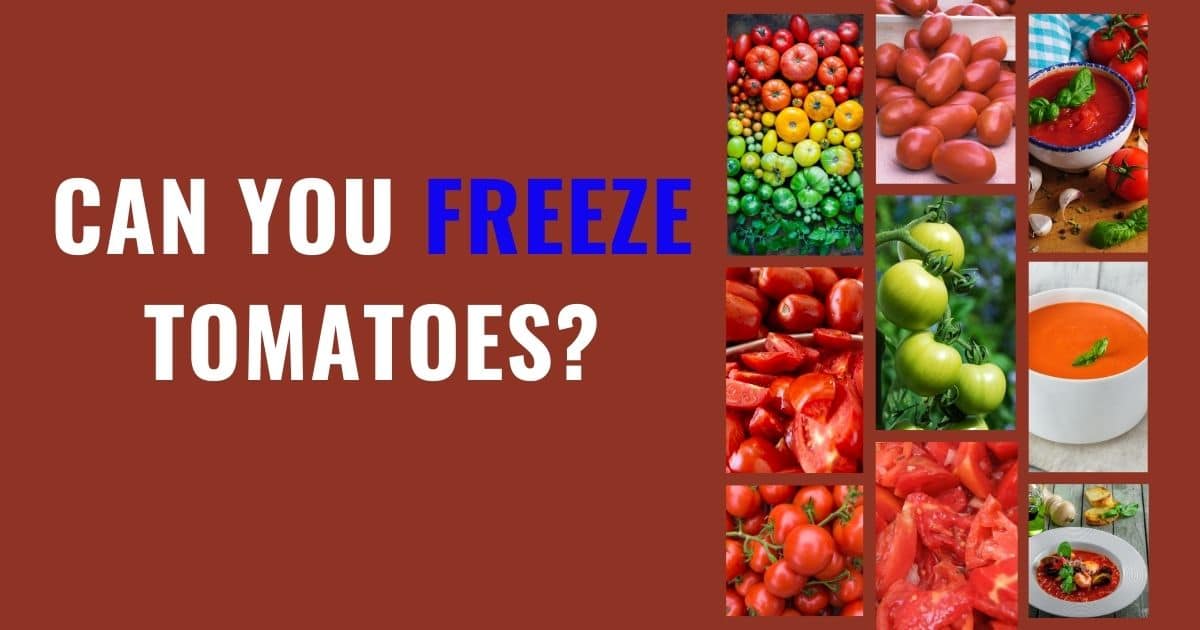 Can You Freeze Tomatoes? Here's How You Can Do It Right