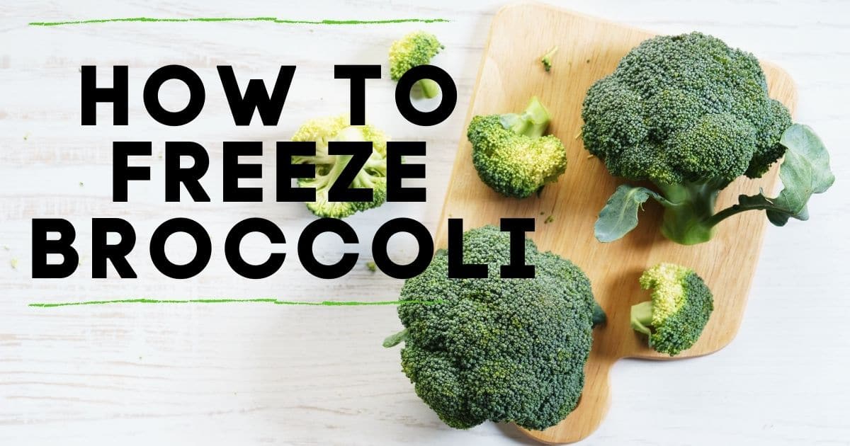 Can You Freeze Broccoli? How to Freeze, Defrost and Use it Later.