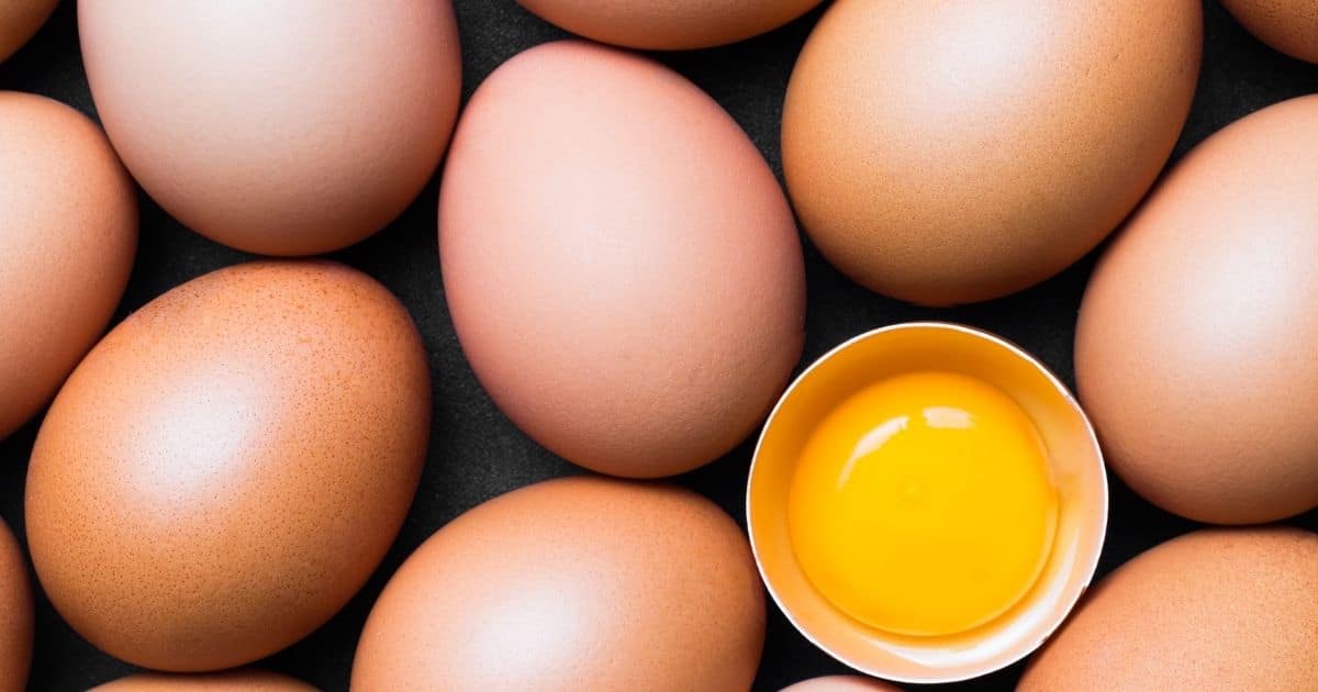 Can You Freeze Scrambled Eggs? Find Out How to Do This Right