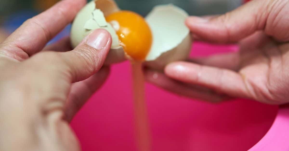 Can You Freeze Scrambled Eggs? Find Out How to Do This Right