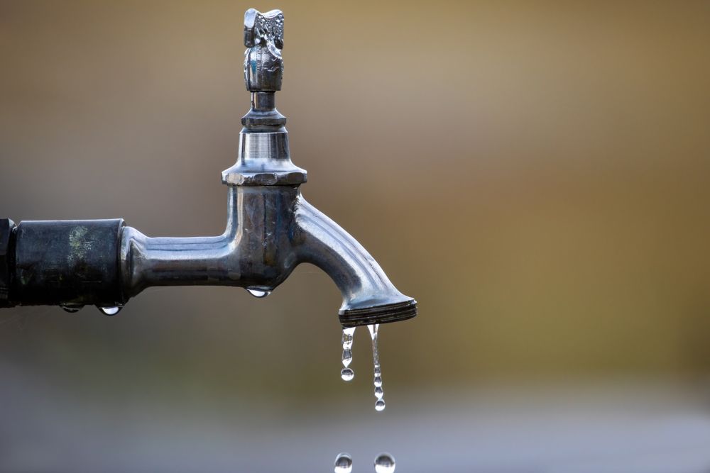 The Best Water Softener Top 10 Picks for Homeowners (2022 REVIEWS)