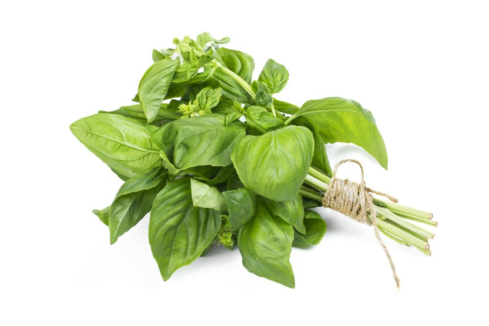 10 Aromatic Basil Varieties To Grow At Home