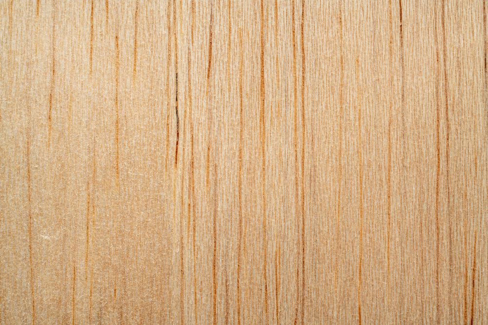 Types of Wood 101 Pros and Cons for DIY Projects OBSiGeN