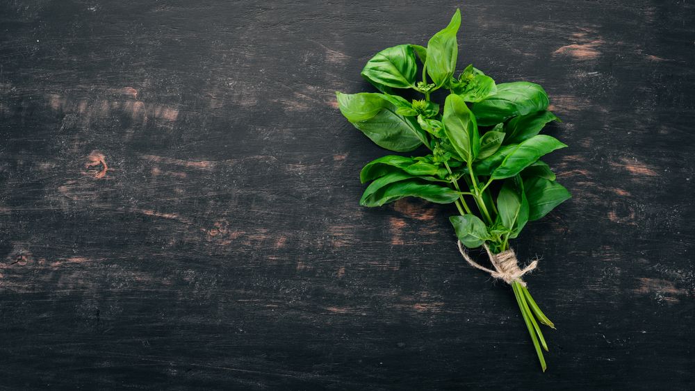 How to Store Basil Easy Tips and Tricks to Enjoy Fresh Basil for Weeks