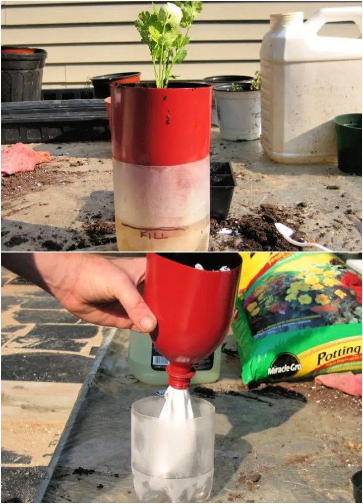15 Planter Ideas Using Empty Wine Bottle DIY to Make