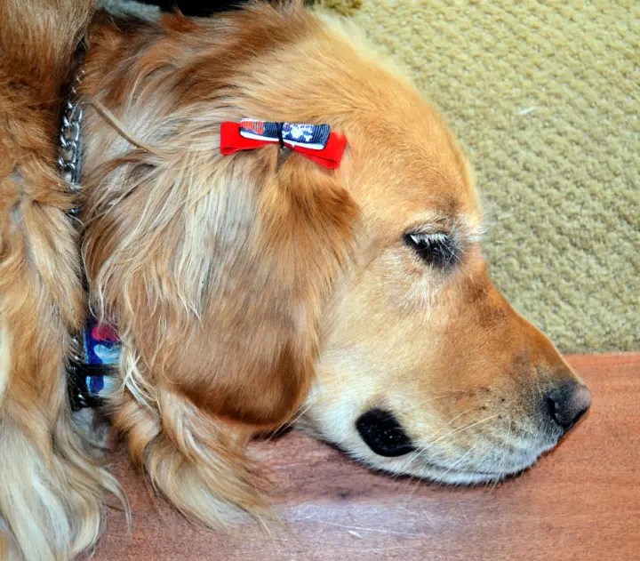 20 Ways To Make A Hair Bow For You Or Your Girl DIY to Make