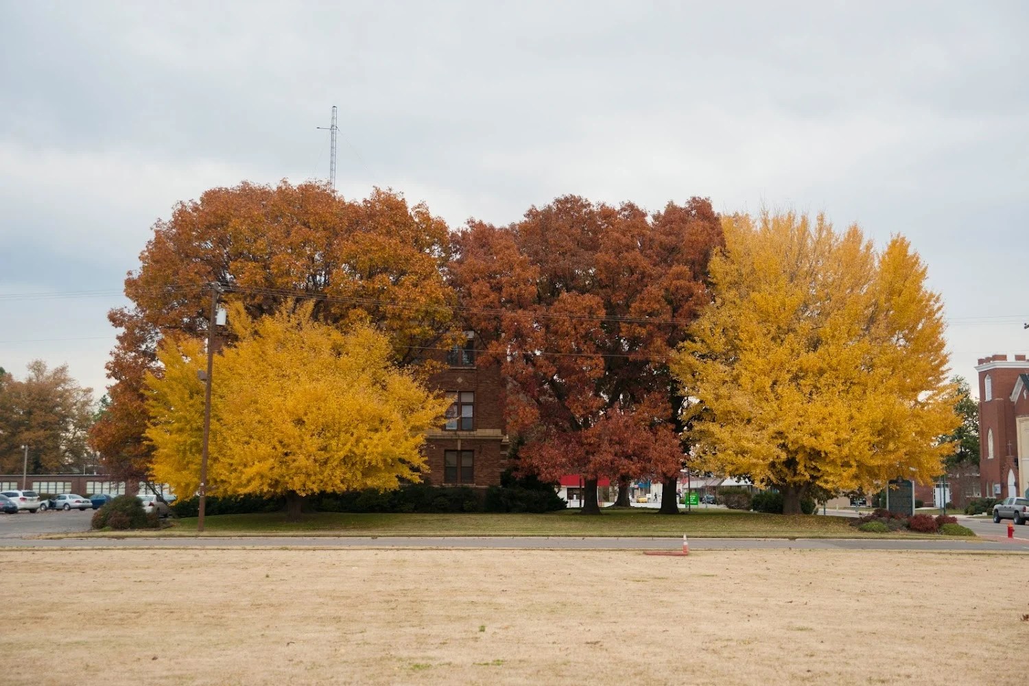 DMV Near Me in Pemiscot, Missouri DMV Test Pro