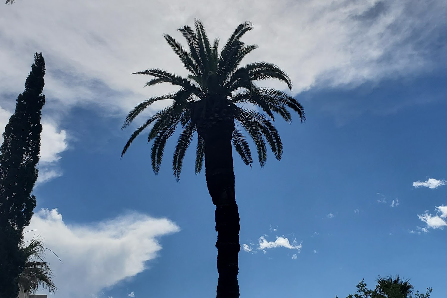 Texas City Texas DMV Nearby Offices DMV Test Pro