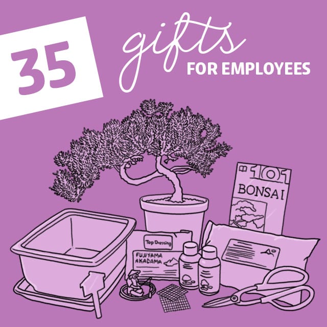 35 Gifts for Good Employees Dodo Burd