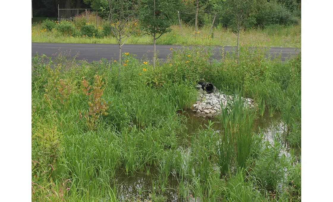 OXBOW AFFORDABLE HOUSING Dodson & Flinker Landscape Architecture
