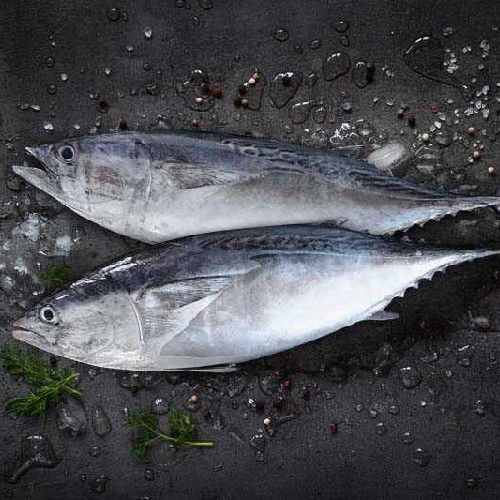 Order Tuna/Choora Online From FISH MART, Bengaluru,Bengaluru