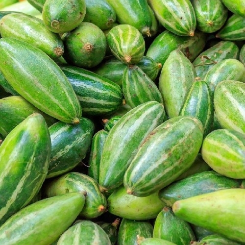 Gupta supplier, siliguri Order Online