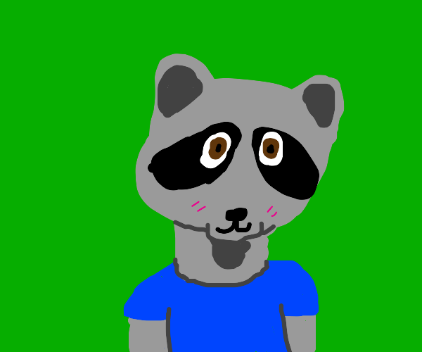 Raccoon Drawception