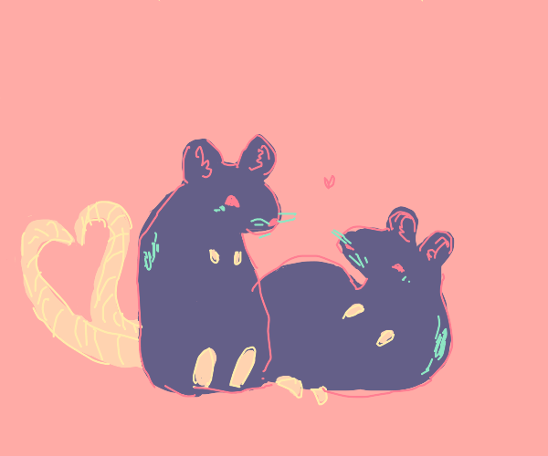 rats in love Drawception