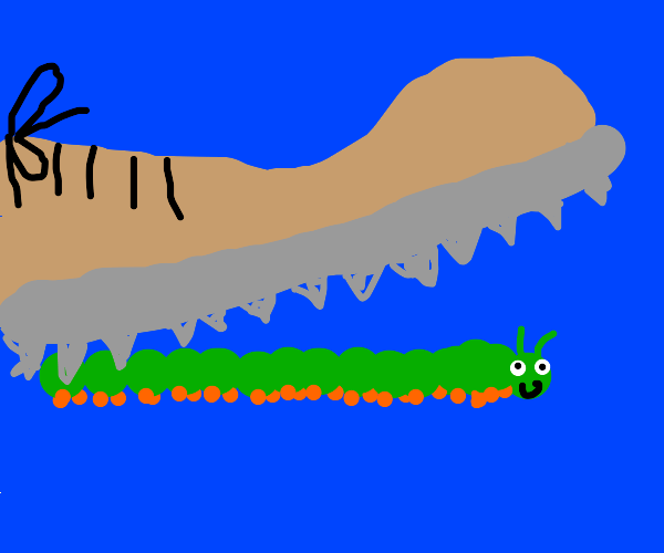 Caterpillar wearing Shoes Drawception