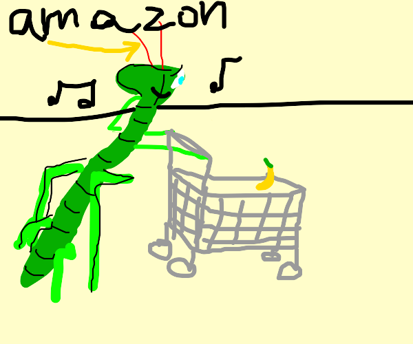 Praying Mantis on Amazon Drawception