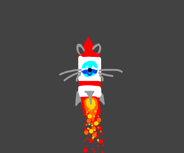 Pet Rocket Drawception