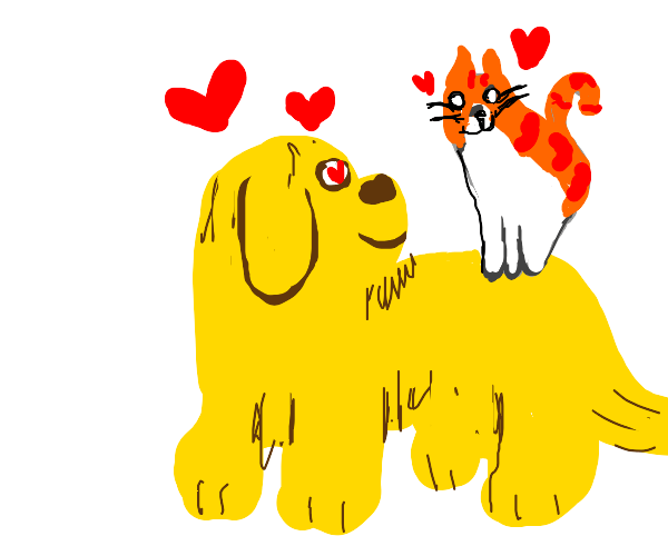 Two dogs fall in love Drawception