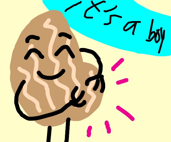 Pregnant Walnut Drawception