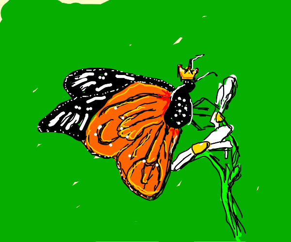 Butterfly Queen Drawception