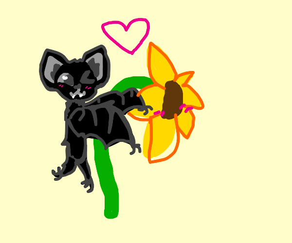 Bat kissing Flower Drawception