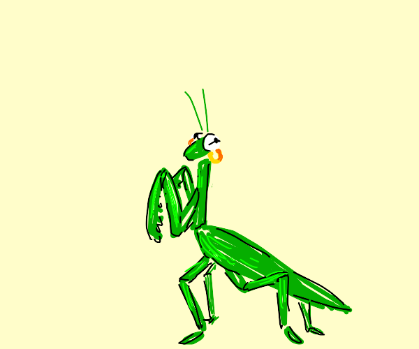 Praying Mantis running with Earrings Drawception