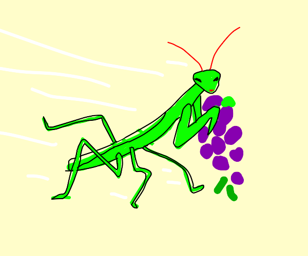 Praying Mantis running with Grapes Drawception