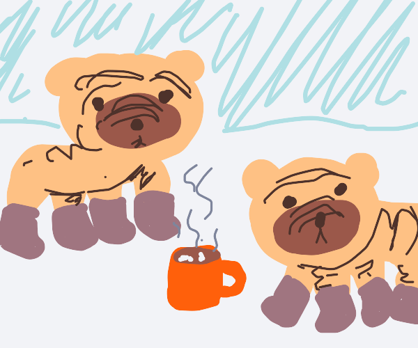 A pug in an ugg on a rug with a mug Drawception